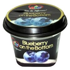 Bio Blueberry Yoghurt 200ml